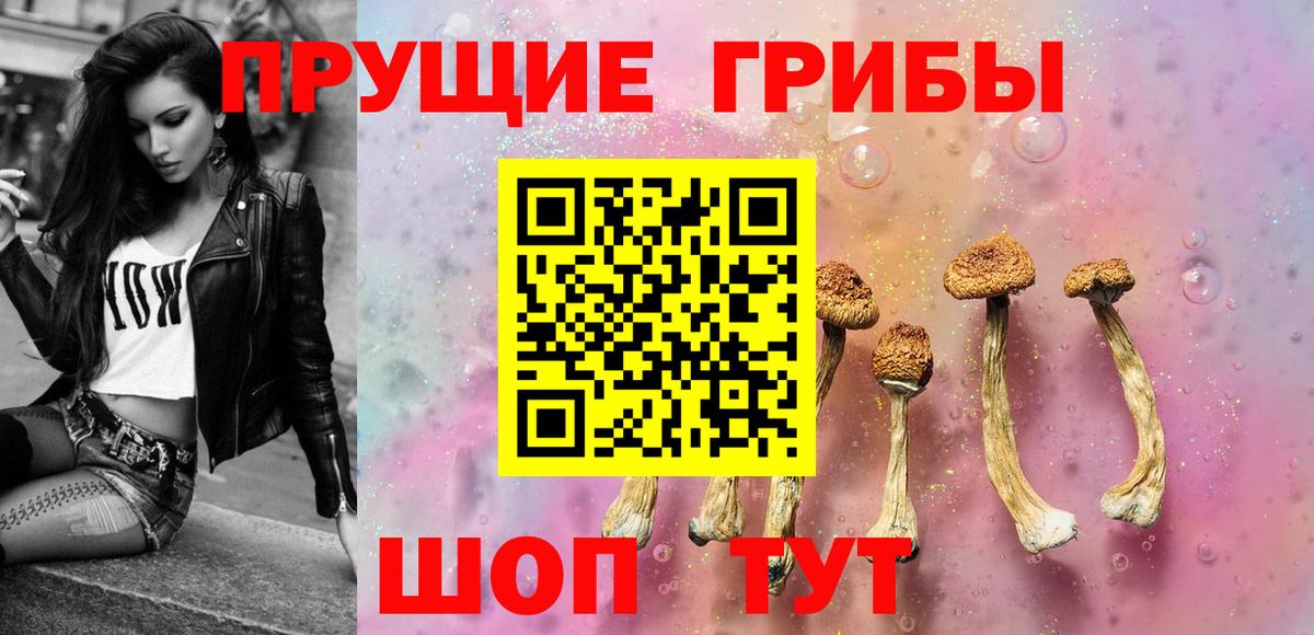 Галлюциногенные грибы Cubensis  Вход с VPN  Нурлат  Галлюциногенные грибы прущие грибы 